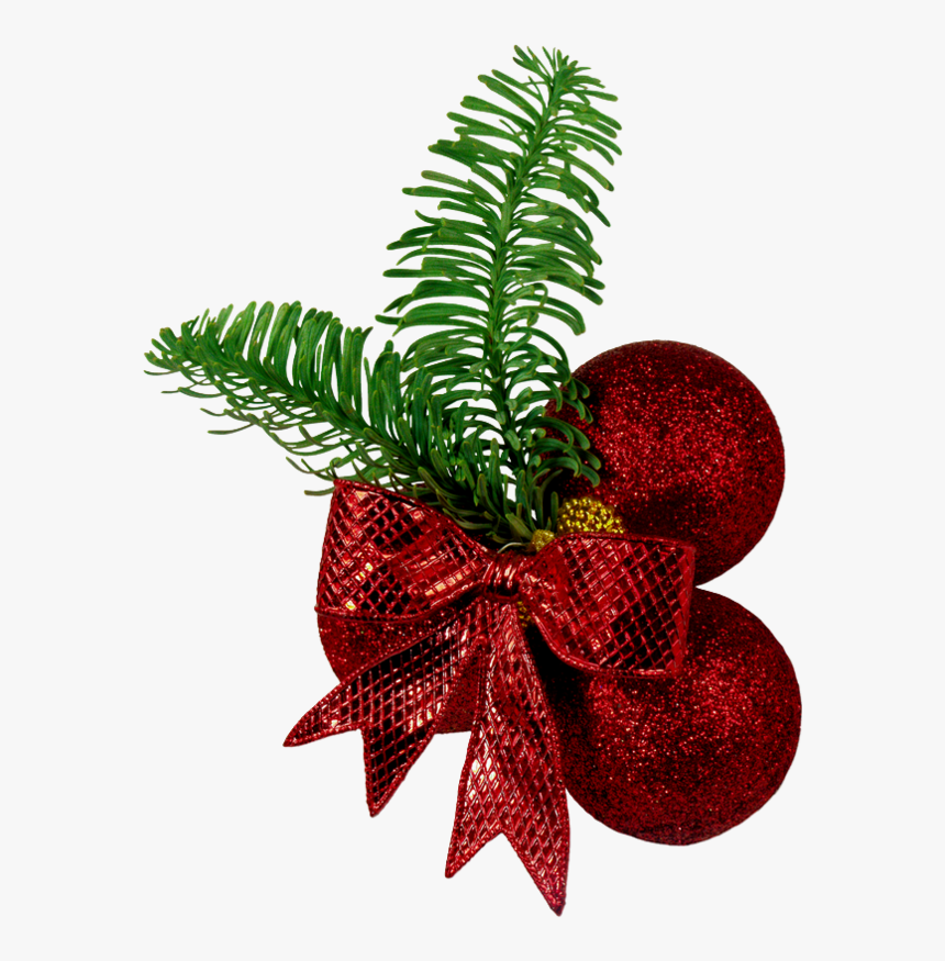 Christmas Tree, HD Png Download, Free Download