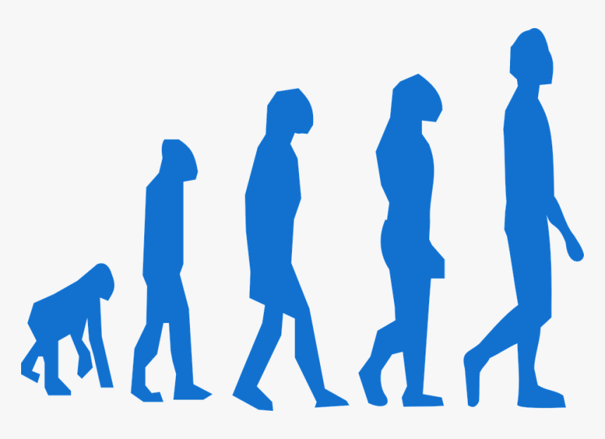 Evolution, Monkey, Man, Transition, Neanderthaler - Evolution And Inheritance Year 6, HD Png Download, Free Download