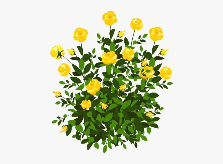 Yellow Rose Bush Png Clipart Picture - Flower Plant Png Clipart, Transparent Png, Free Download