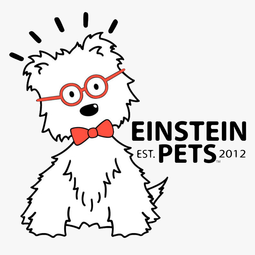 Einstein Pets Sweet Potato Dog Treat - Einstein Pets Logo, HD Png Download, Free Download