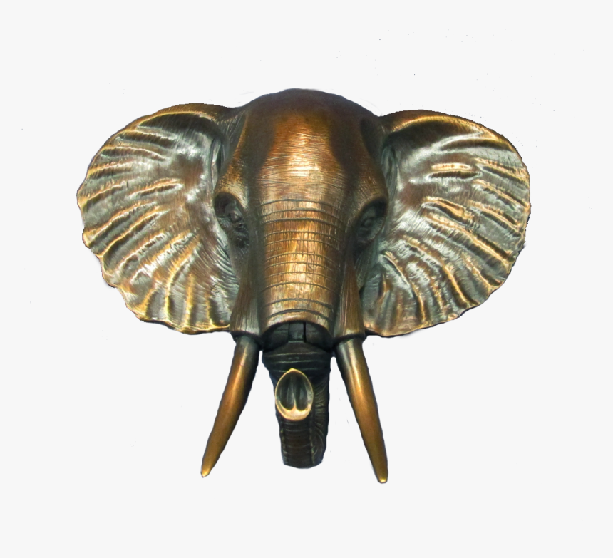 See Additional Details - African Elephant, HD Png Download, Free Download