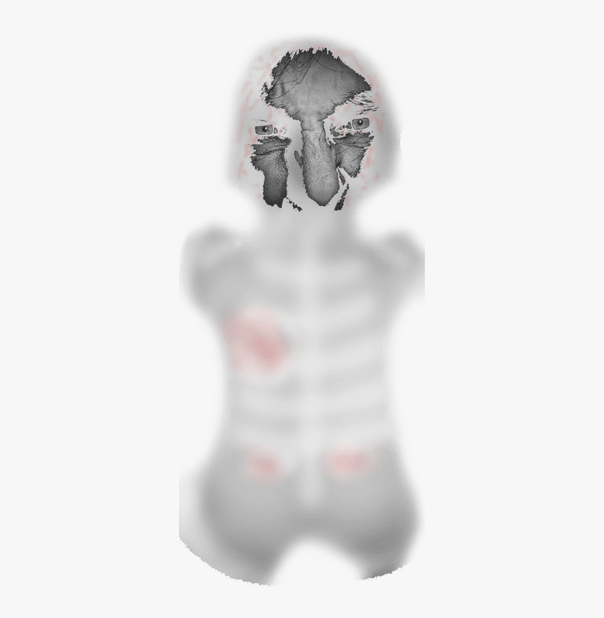 Haunted Ghost Transparent Background - Haunting Transparent Background, HD Png Download, Free Download