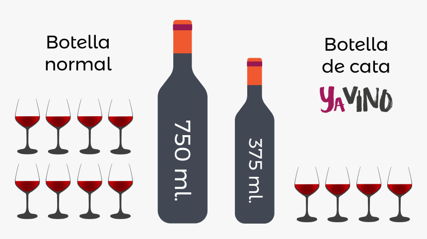4 Copas De Vino Por Botella De Cata - Wine Bottle, HD Png Download, Free Download