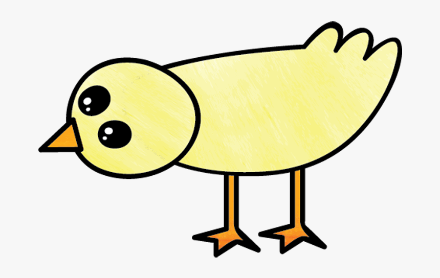 Chicken Drawing Png, Transparent Png, Free Download