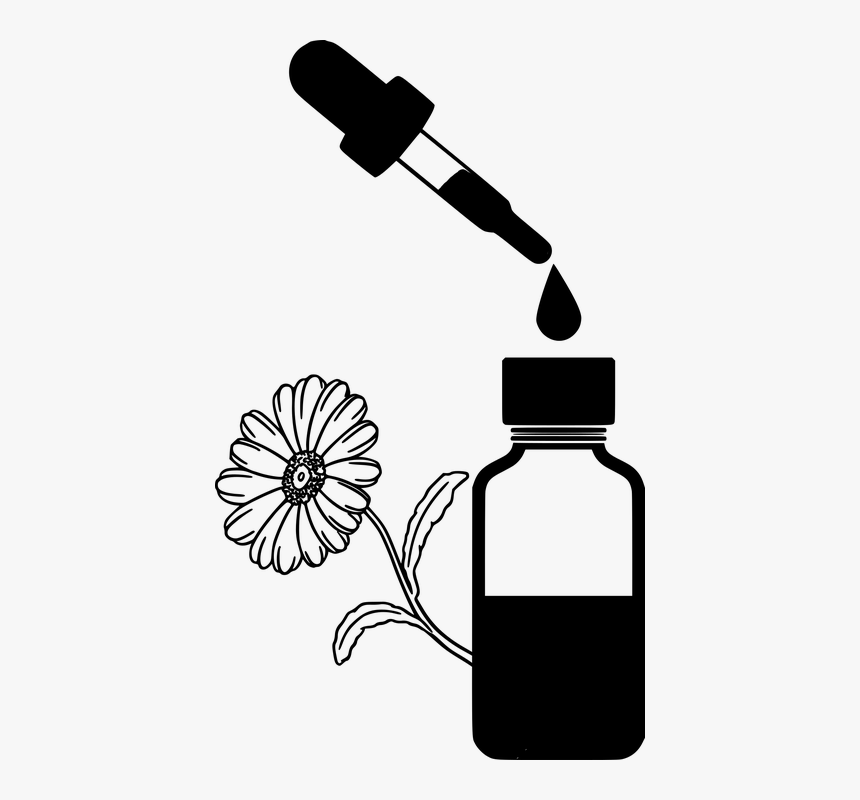 Chamomile, Essential, Oil, Bottle, Beauty, Apothecary - Cbd Oil Black And White, HD Png Download, Free Download