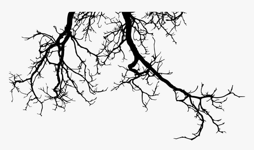 Branch Tree Twig - Tree Branch Silhouette Png, Transparent Png, Free Download