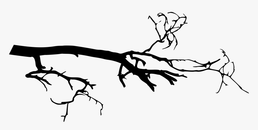 Twig - Tree Branch Png, Transparent Png, Free Download