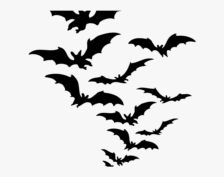 Transparent Spooky Forest Clipart - Bat Png, Png Download, Free Download