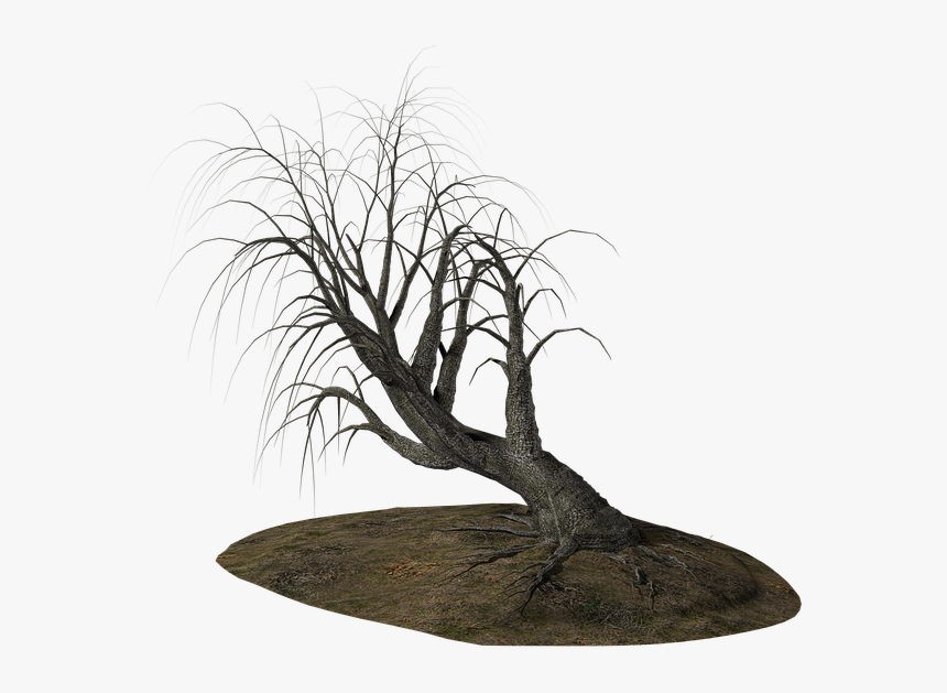 Alberi Morti Png, Transparent Png, Free Download