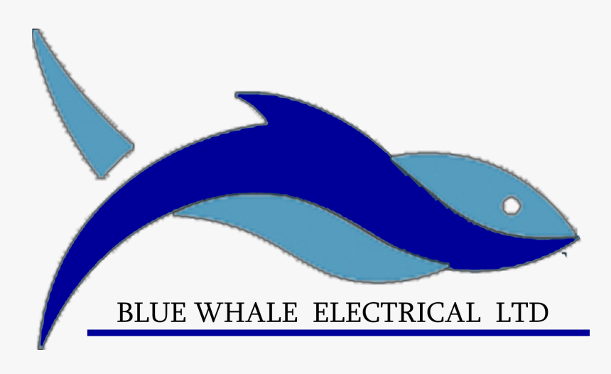 Blue Whale Electrical Ltd, HD Png Download, Free Download