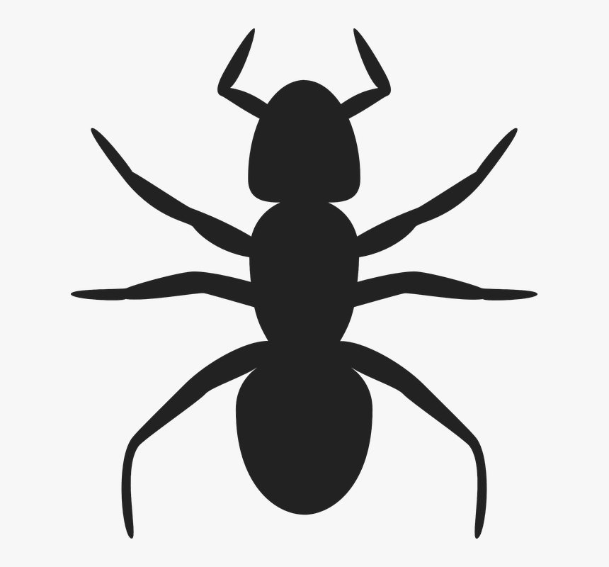 Hormiga, Insectos, Colonia, Hormiguero, Pest, Apuesta - Ant Clip Art, HD Png Download, Free Download