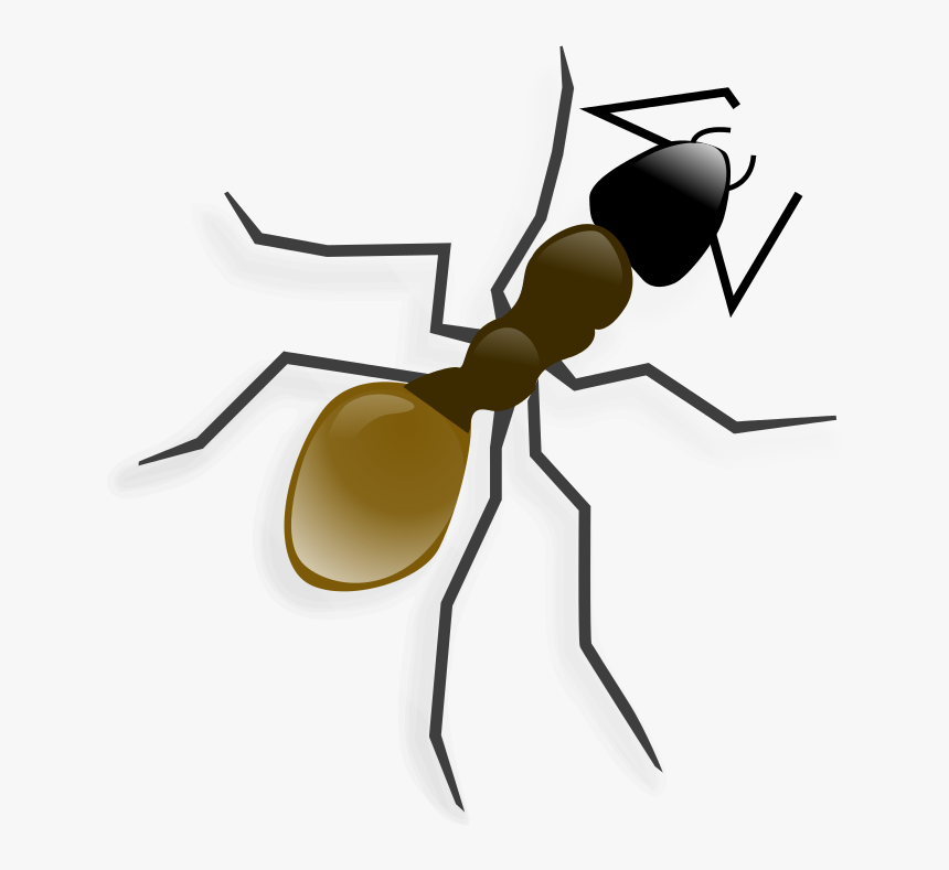 Tux Paint Ant - Ant Clip Art, HD Png Download, Free Download