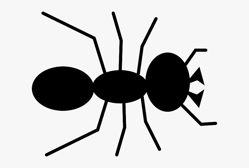 Insect Clipart Angry Ant - Dibujos De Hormigas Faciles, HD Png Download, Free Download