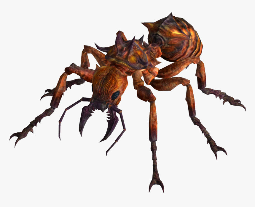 El Refugio - Fallout Fire Ant, HD Png Download, Free Download