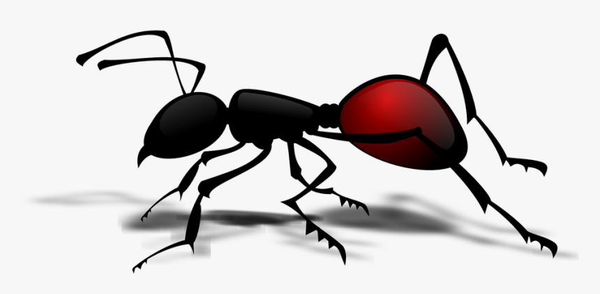 Hormiga, Pismire, Insectos, Emmet - Ant Clipart Png, Transparent Png, Free Download