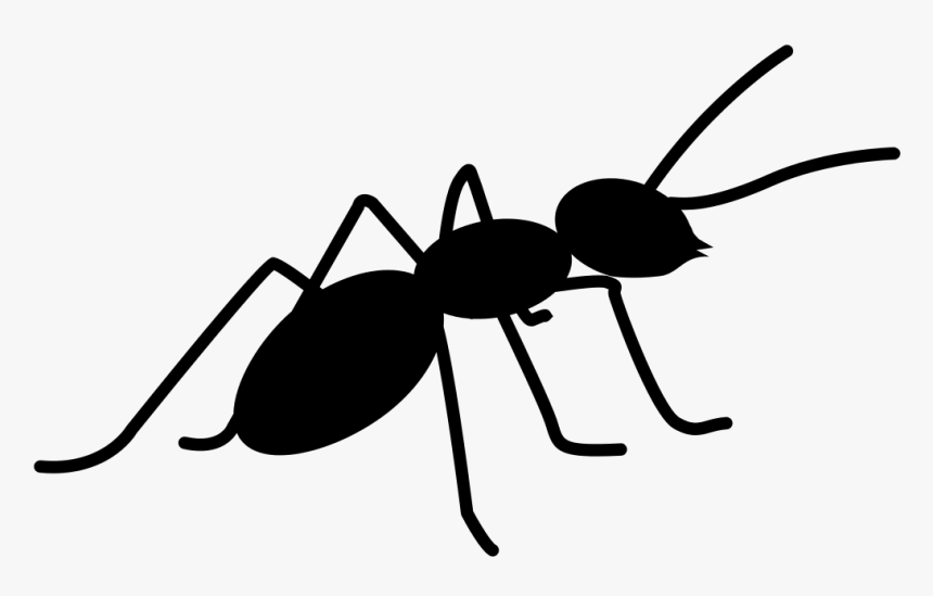 Ant Clipart Png, Transparent Png, Free Download