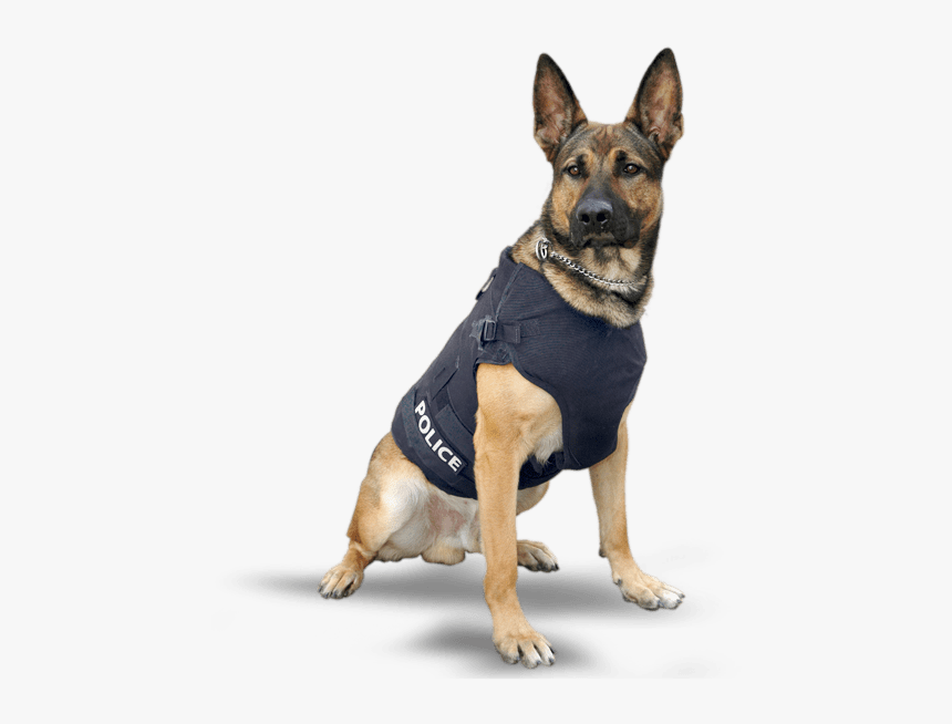 K9-a - German Shepherd Png, Transparent Png, Free Download