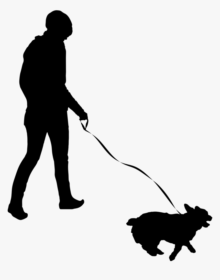 Pet Sitting Dog Walking Pet Adoption - Pet Sitting Flyer Ideas, HD Png Download, Free Download