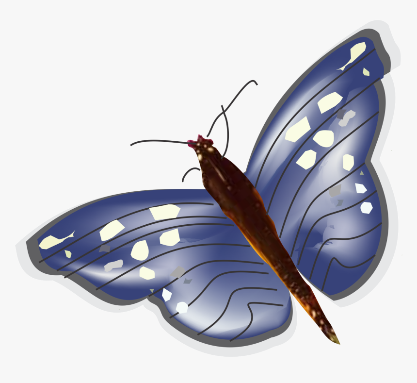 Hormiga Png, Transparent Png, Free Download