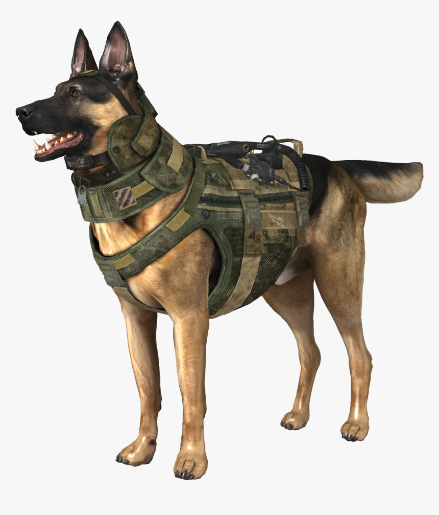 Call Of Duty Riley, HD Png Download, Free Download