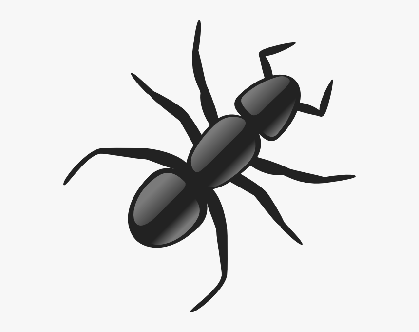 Clip Art Cartoon Ant Picture - Ant Clip Art, HD Png Download, Free Download