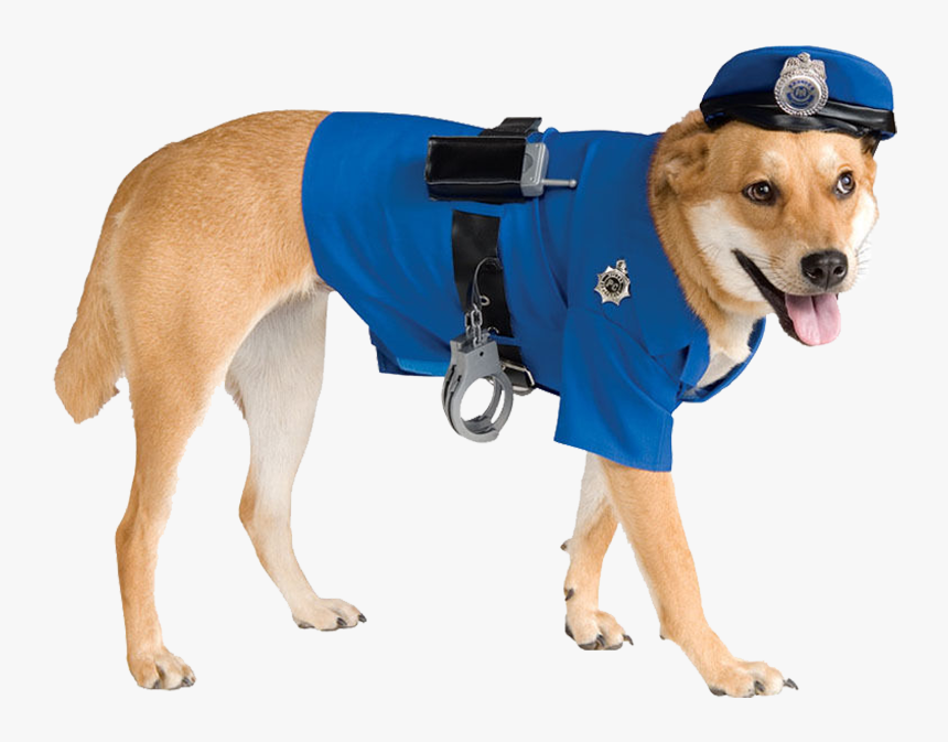 Dog In Police Outfit - Police Dog Costume, HD Png Download, Free Download