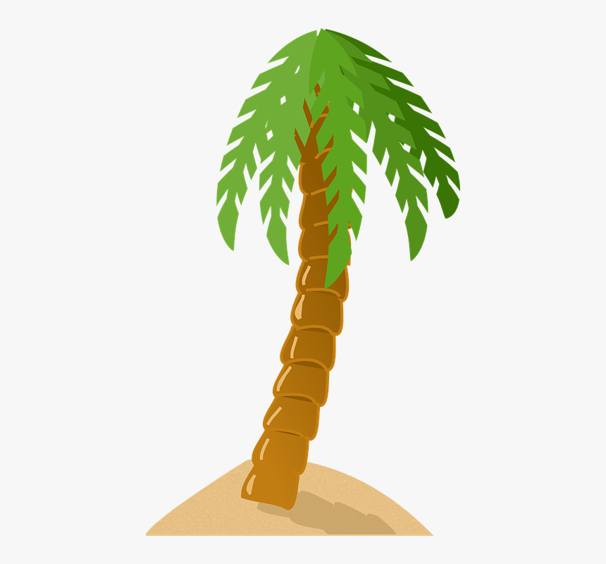 Transparent Palmeras Tropicales Png - Transparent Background Cartoon Clipart Palm Tree Png, Png Download, Free Download