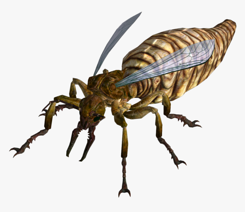 Transparent Ant Queen - Fallout New Vegas Ants, HD Png Download, Free Download