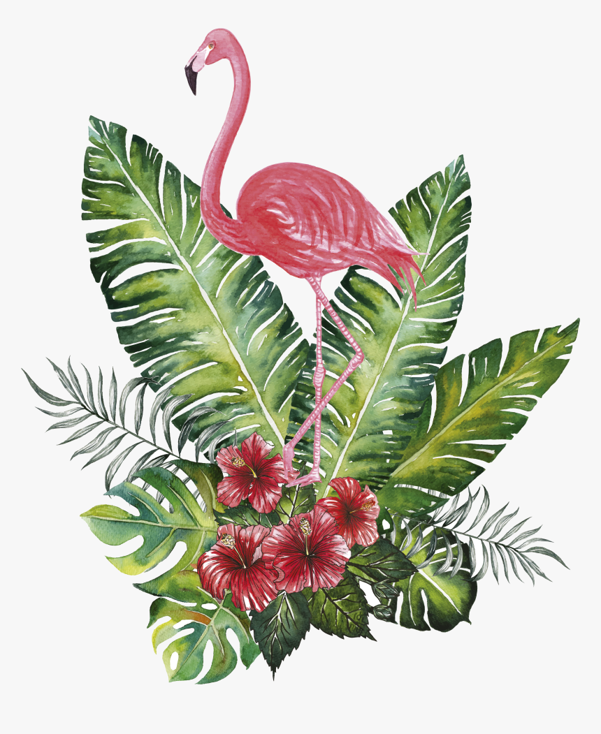 Decoración Tropical - Clip Art Watercolor Flamingo, HD Png Download, Free Download