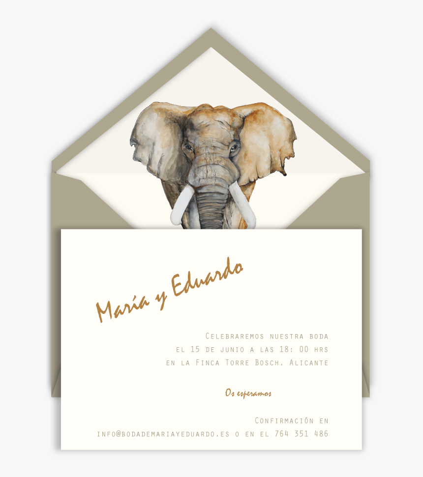 Inv Elefante Sobre Arena - Cross Stitch Patterns Elephant, HD Png Download, Free Download