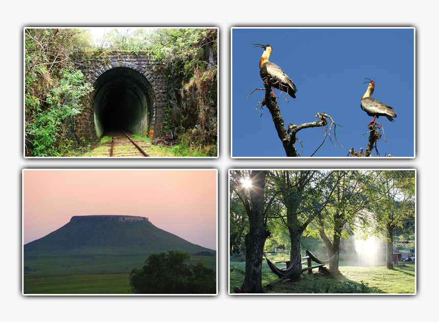 Naturaleza - Tunnel, HD Png Download, Free Download