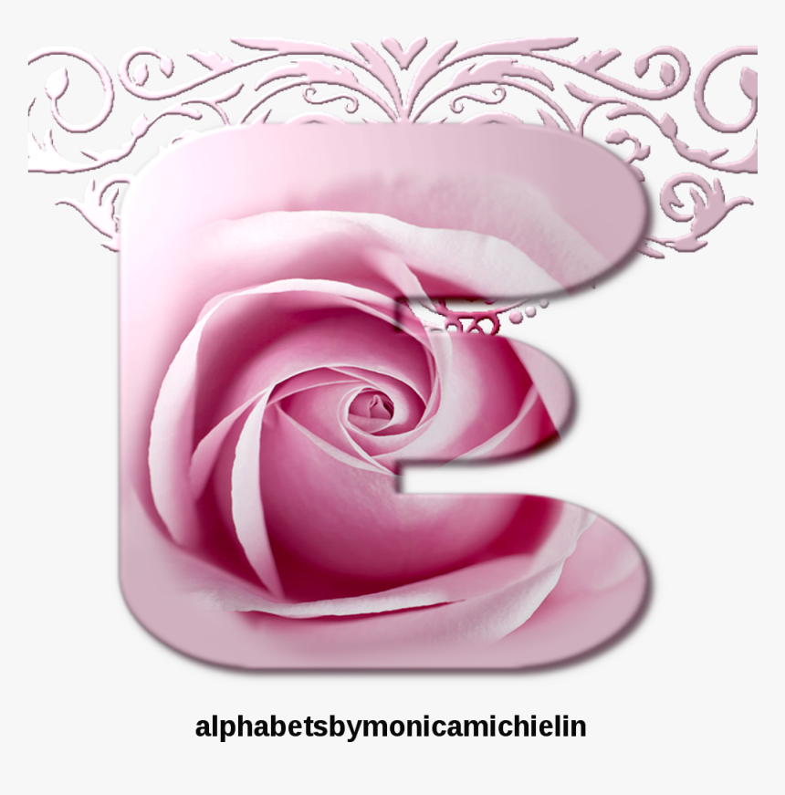 Rose, HD Png Download, Free Download