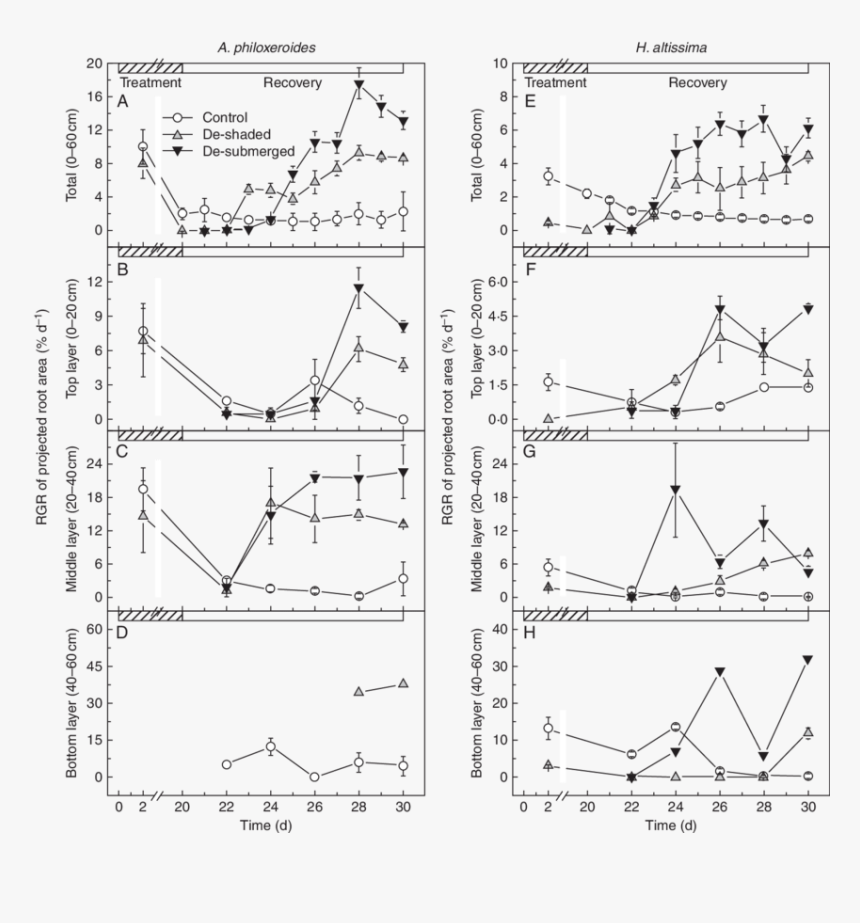 Diagram, HD Png Download, Free Download