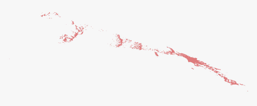 Bird, HD Png Download, Free Download