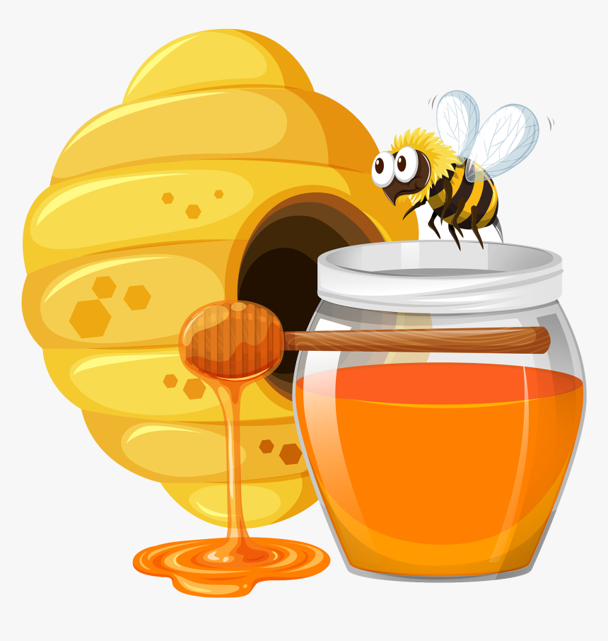 Transparent Bee Vector Png - Honey Clipart, Png Download, Free Download