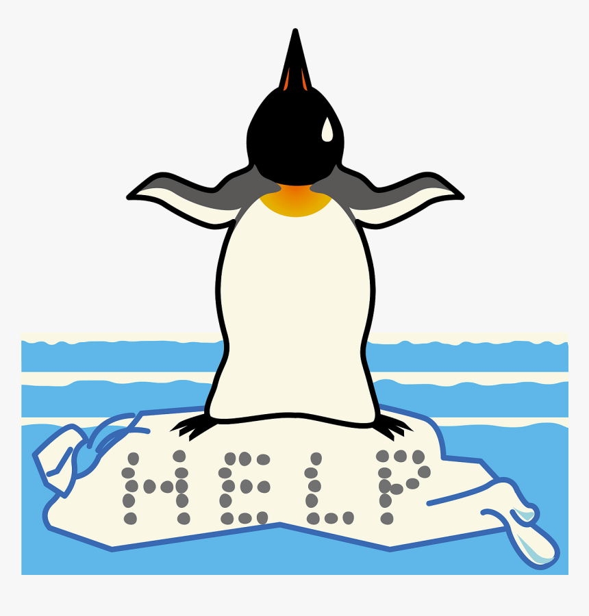 Adã©lie Penguin, HD Png Download, Free Download
