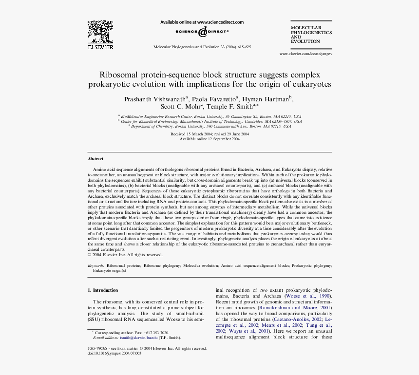 Antibacterial Activity Of Sweet Orange On Staphylococcus, HD Png Download, Free Download