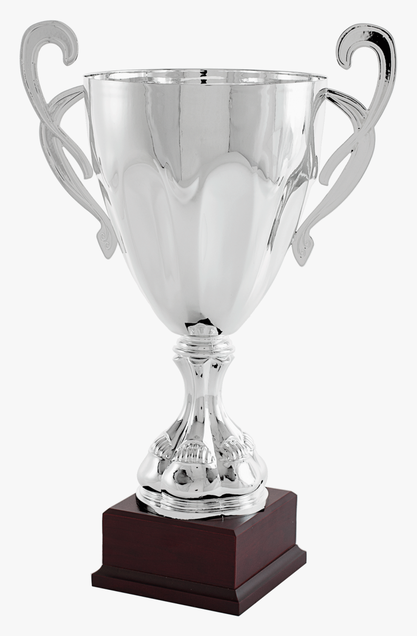 Trofeo Copa Cono Raya Plata Con Asas - Trofeos Copas Doradas, HD Png Download, Free Download