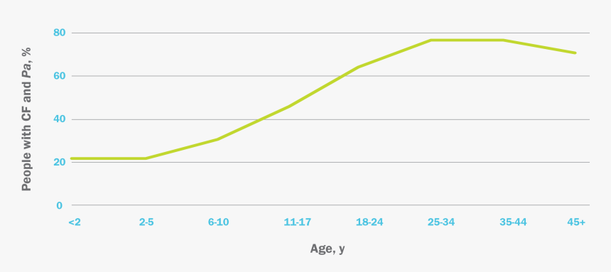 Screenshot, HD Png Download, Free Download