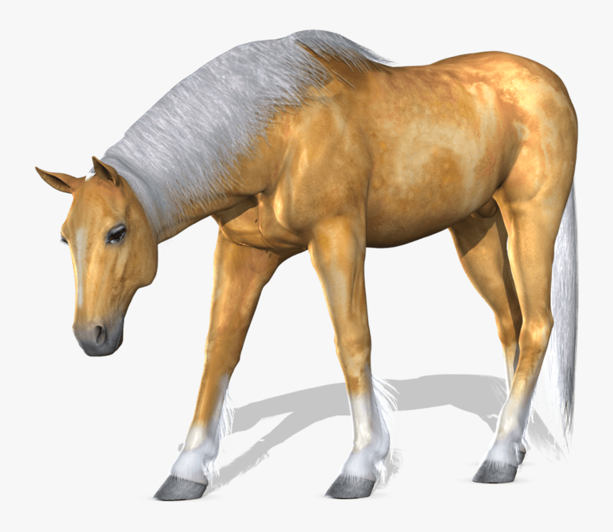 Horse Png Image - Cavalo Sem Fundo, Transparent Png, Free Download