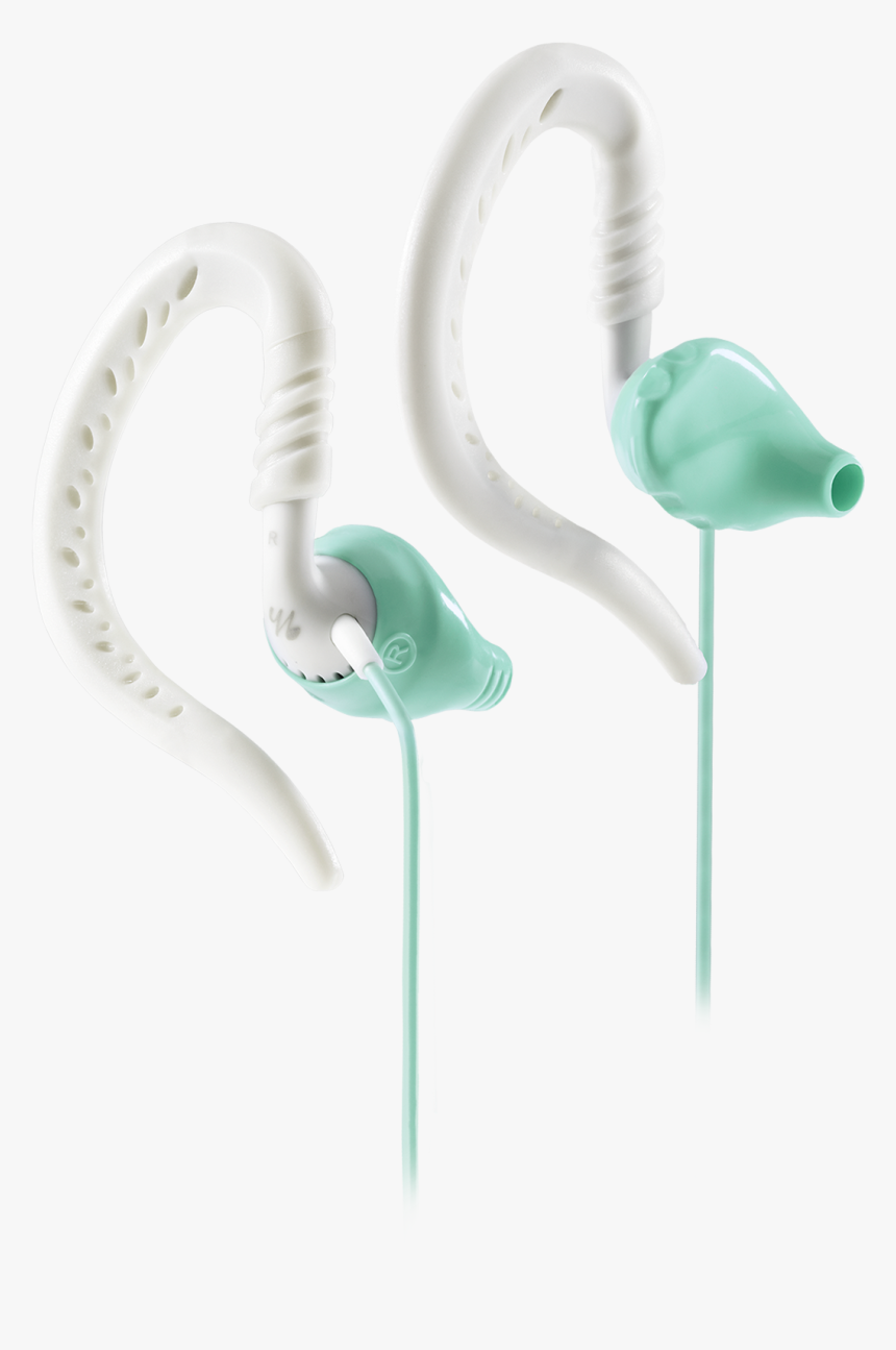 Still Life Photography, HD Png Download, Free Download