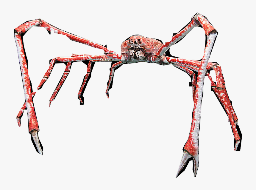 Japanese Spider Crab Clipart Hd Png Download Kindpng