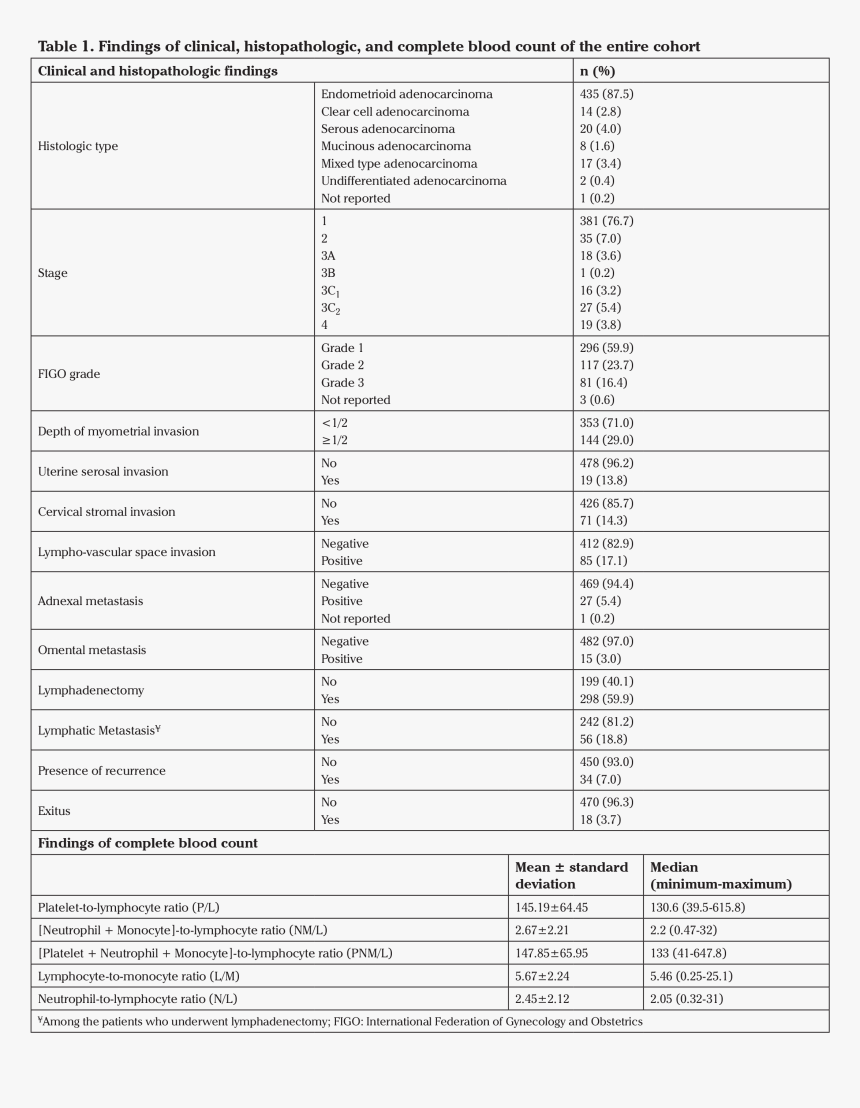 Document, HD Png Download, Free Download