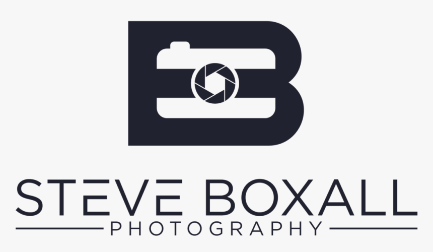 Steve Skin Png, Transparent Png, Free Download