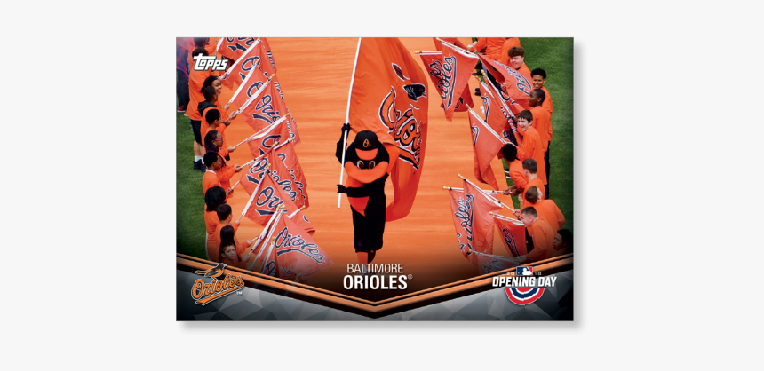 Orioles Png, Transparent Png, Free Download