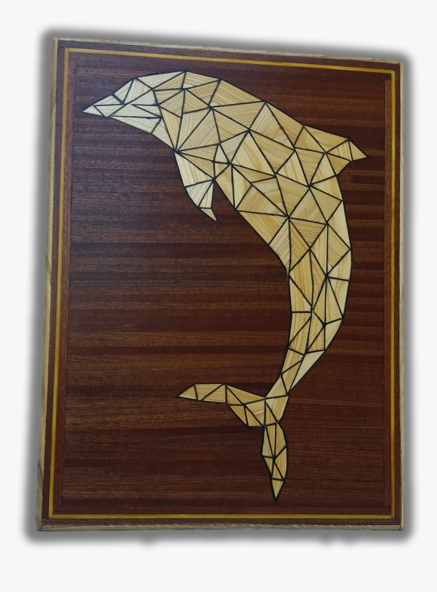 A-dolphin - Picture Frame, HD Png Download, Free Download