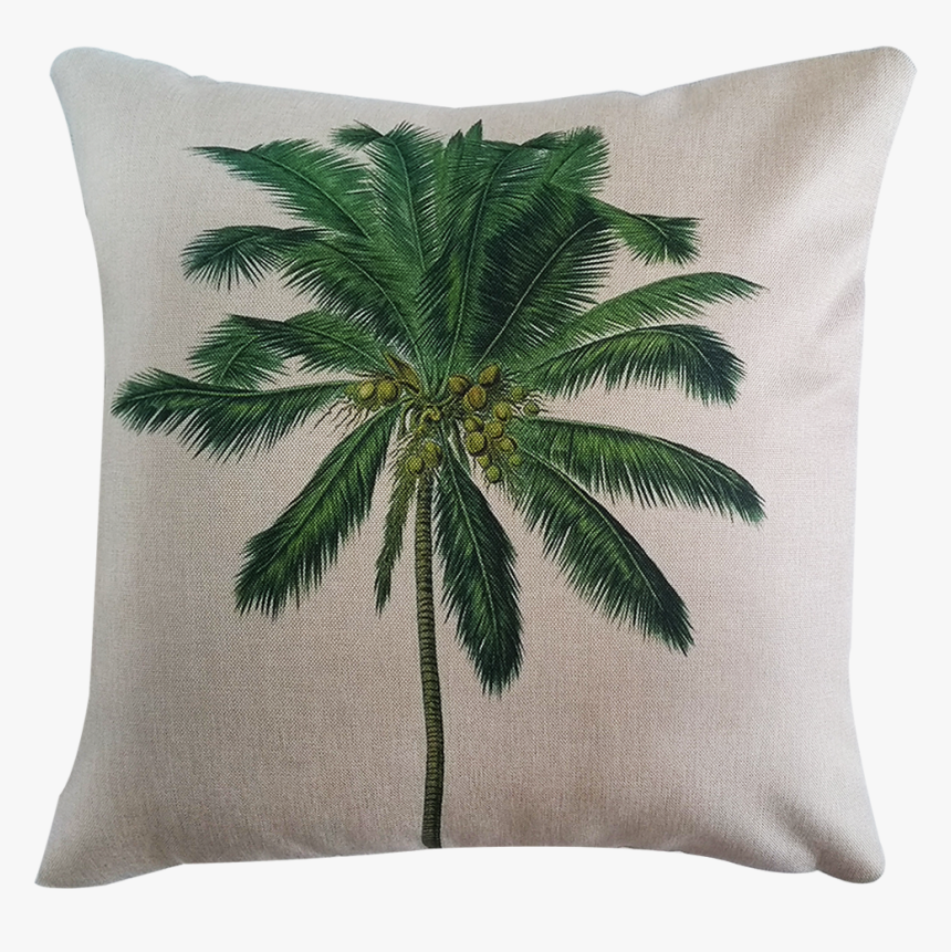 Palm Tree Meaning In Urdu, HD Png Download, Free Download