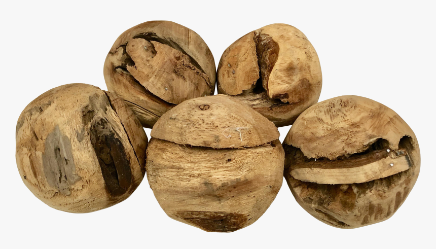 White Walnut, HD Png Download, Free Download