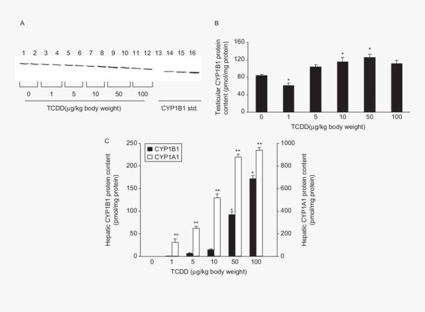 Diagram, HD Png Download, Free Download