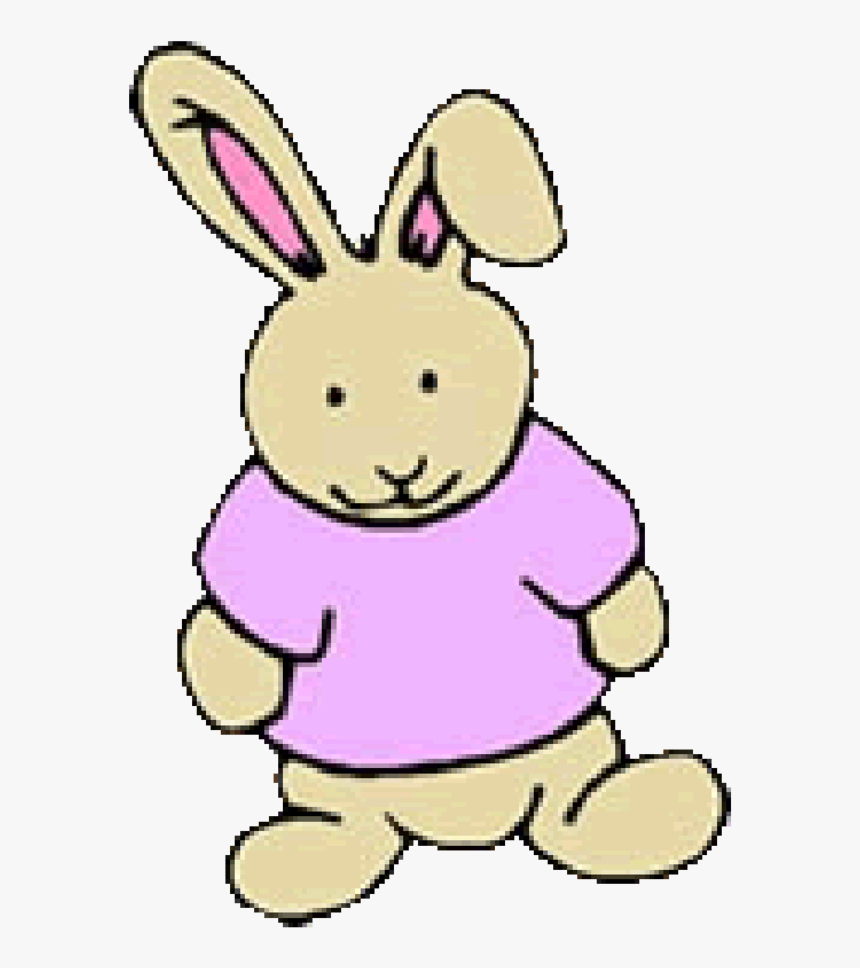 Bunny - Rabbit, HD Png Download, Free Download
